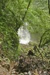 ROUGH WAY THROUGH TANGLED FOREST TO PICTURESQUE WATERFALL